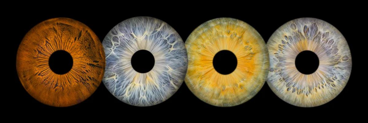 Quatuor — 4 iris